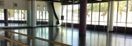 CDT Studio